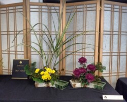 Arrangement by Carolyn Alter
