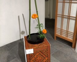 Hana-mai arrangement by Anshu Shourie