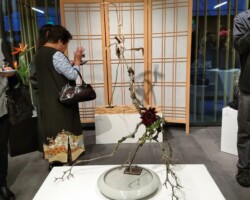 Hana-mai arrangement by Diane Yost